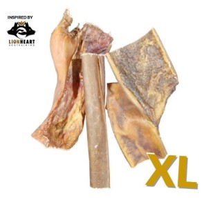 XL Rinderkopfhaut luftgetrocknet | Lionheart Edition